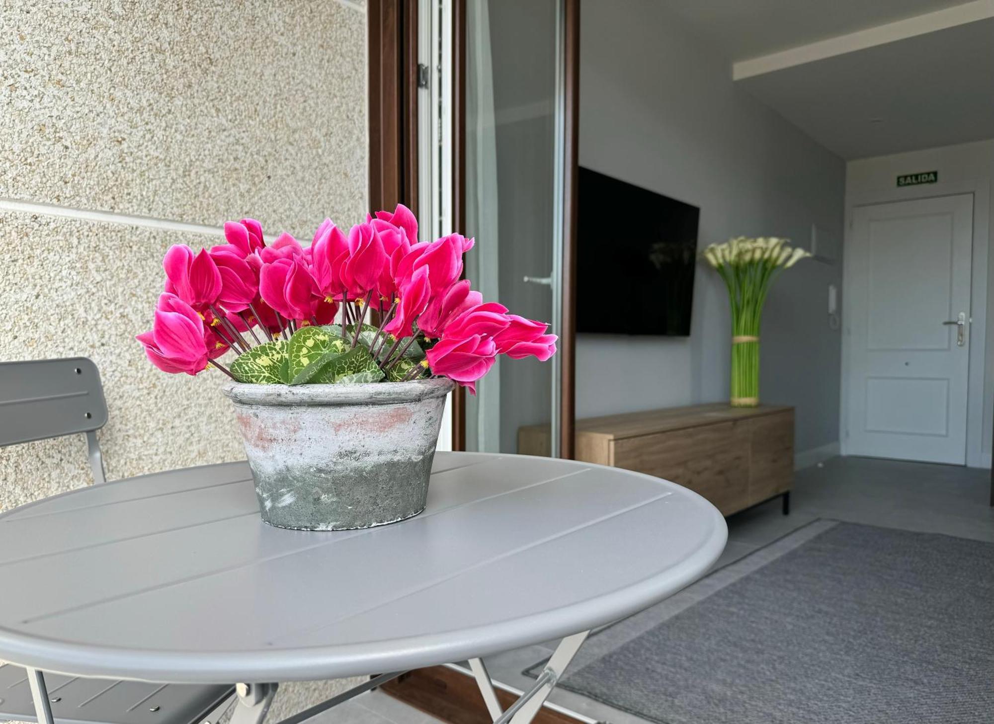 Apartamento Calas Noja Eksteriør billede